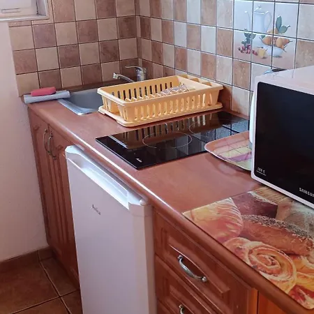 Hébergement de vacances Pod Kasztanem