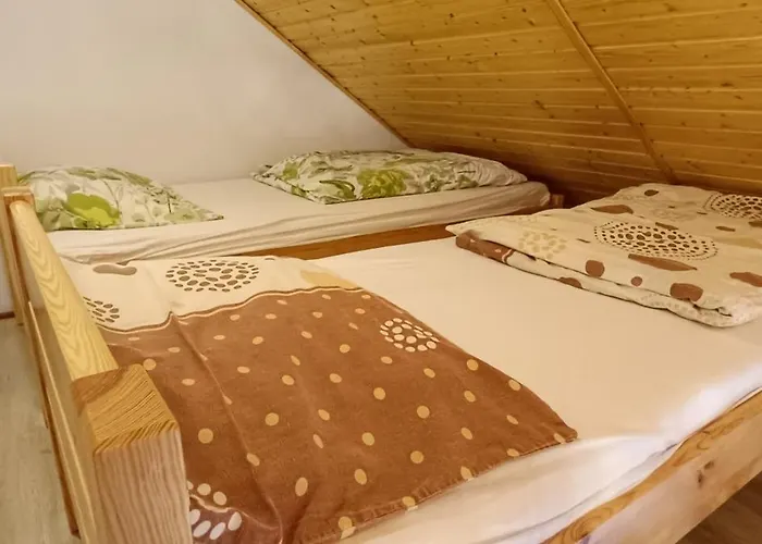 Pod Kasztanem Dąbki